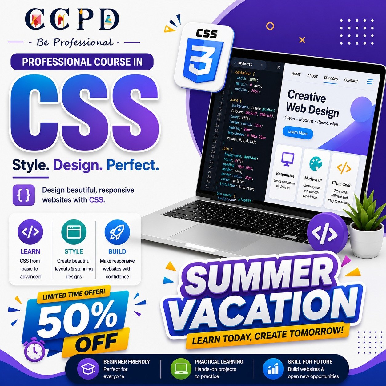 professional css